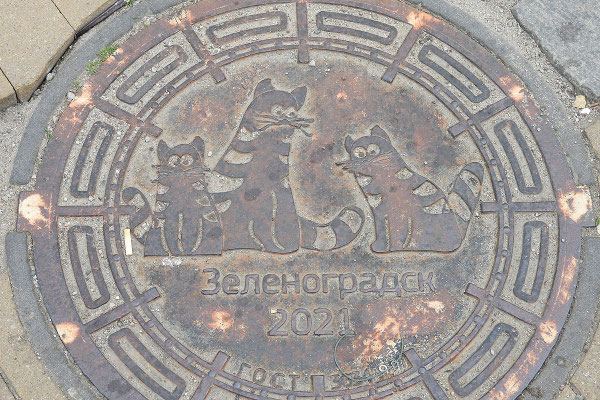 Überall Katzen