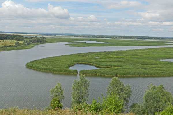 Wiesen, Wald und Flüsse soweit das Auge blickt - Tatarstan vom Busfenster aus.