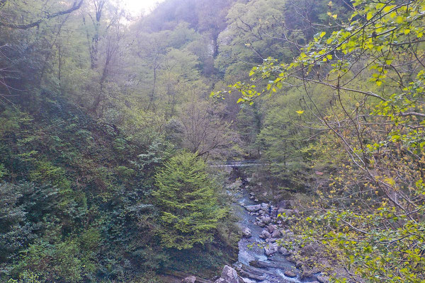 Der Agura-Fluss strömt unten im Tal in Richtung Schwarzes Meer.