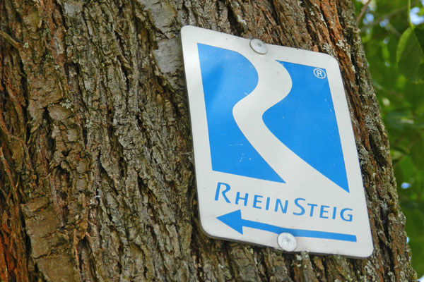Знак туристской тропы "Рейнштайг"