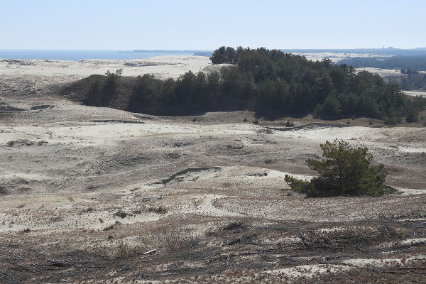 Dünenlandschaften zwischen Haff und Ostsee