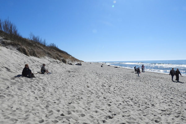 Am Nehrungsstrand 