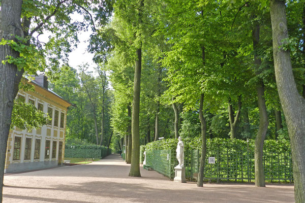 Sonniger Sommermorgen an Peters Palais
