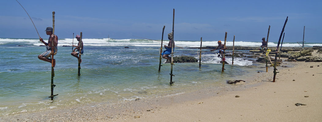 Paalvissers bij Galle