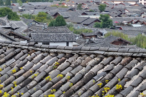 Lijiang