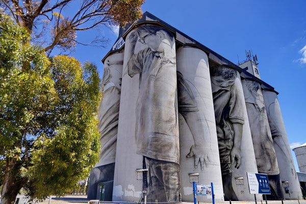 Coonalpin Silo's