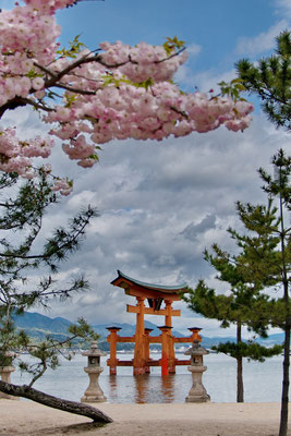 De grote torii (hemelpoort) op het eilandje Miyajima