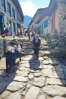 De hoofdstraat van Lukla