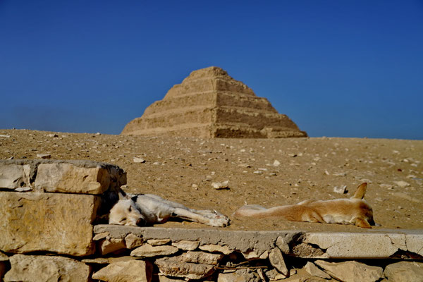 Saqarra (Pyramide van Djoser)