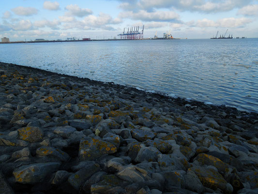 Jade Weser Port 2013