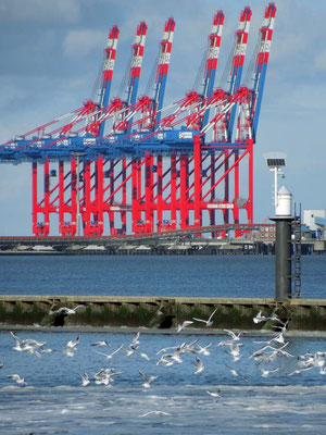 Containerbrücken Jade Weser Port 2012