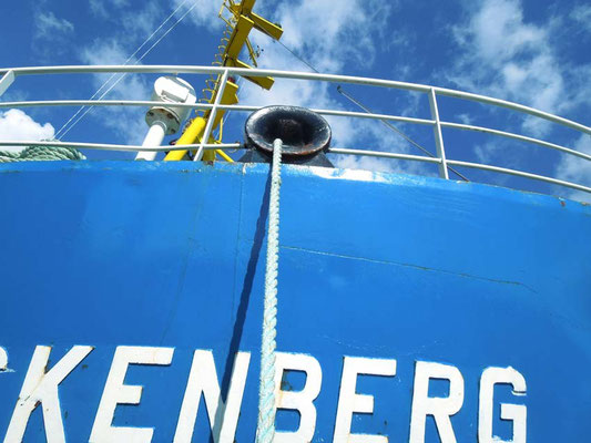 Forschungsschiff Senkenberg am Nassauhafen 2015