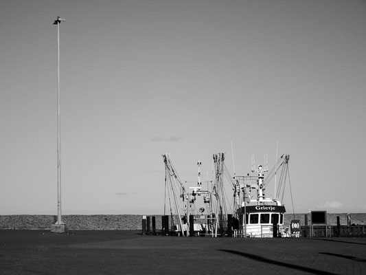 Hooksieler Außenhafen 2012