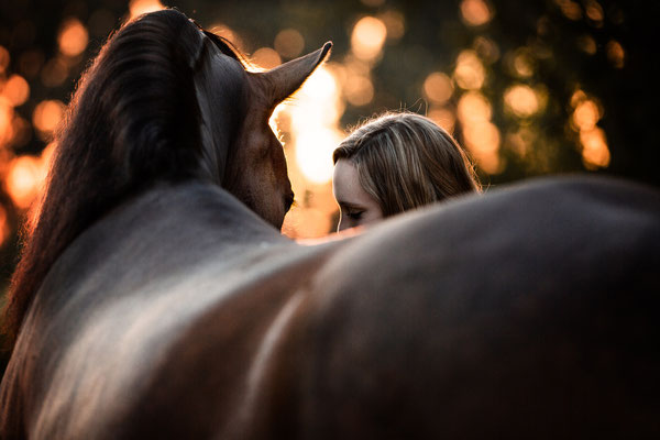 Ein braunes Pferd über den Rücken fotografiert mit einer Frau in der Abendsonne.