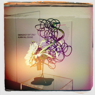 Bouquets to Art, de Young Museum (March 2014)