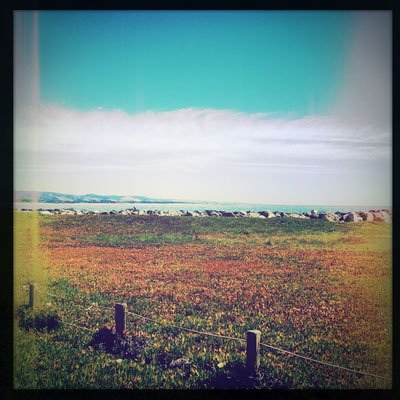Half Moon Bay, CA (July 2015)
