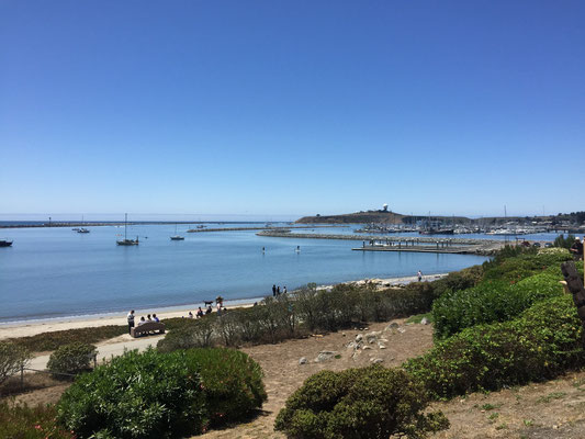 Half Moon Bay, CA (July 2015)