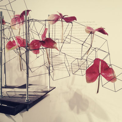 Bouquets to Art, de Young Museum (March 2014)