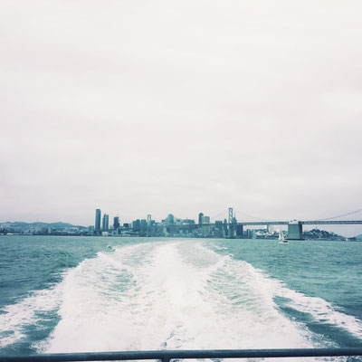 The Bay (August 2015)