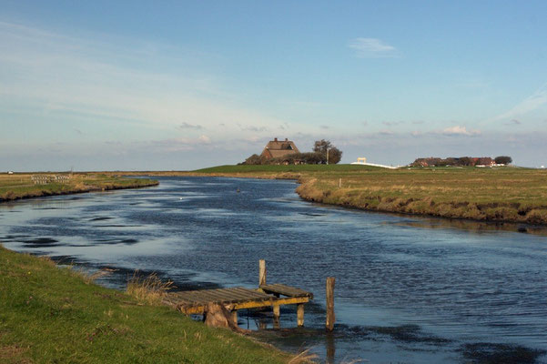 Auf der Hallig Hooge