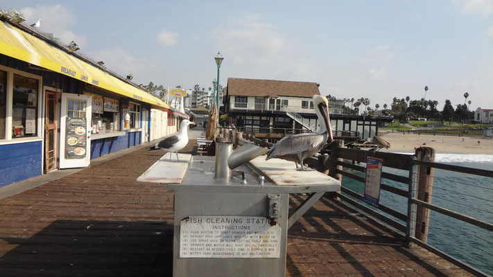 Redondo Beach Pier