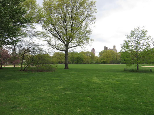 Central Park, New York, USA