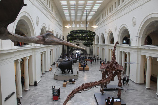 Field Museum of Natural History, Chicago, USA