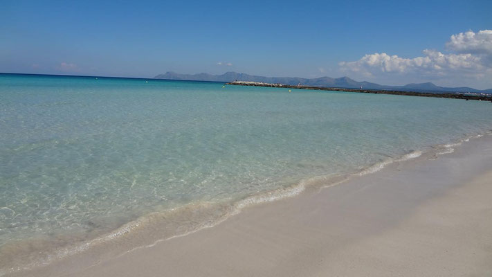 Platja de Muro, Mallorca