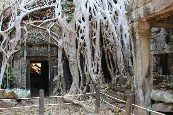 Ta Prohm