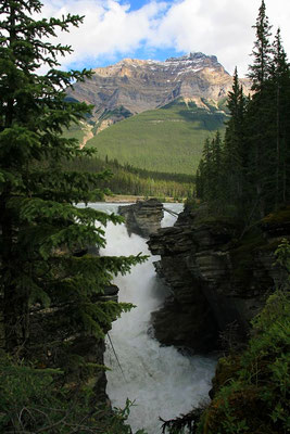 Athabasca River, Jasper National Park, Kanada