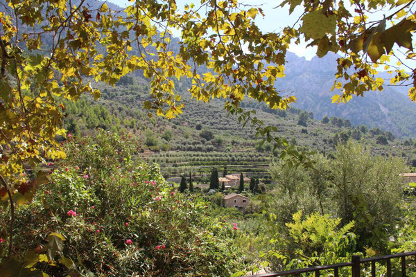 Fornalutx, Mallorca