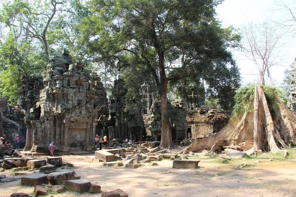 Ta Prohm