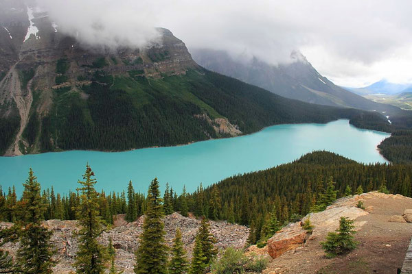 Peyto Lake, Kanada