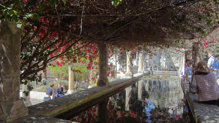 Bischofsgarten, Palma, Mallorca