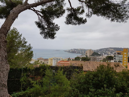 Garten, Joan Miró, Cala Mayor, Mallorca