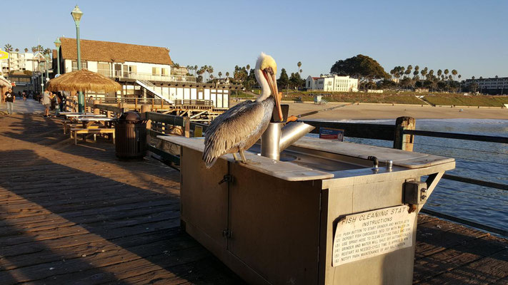 Redondo Beach Pier