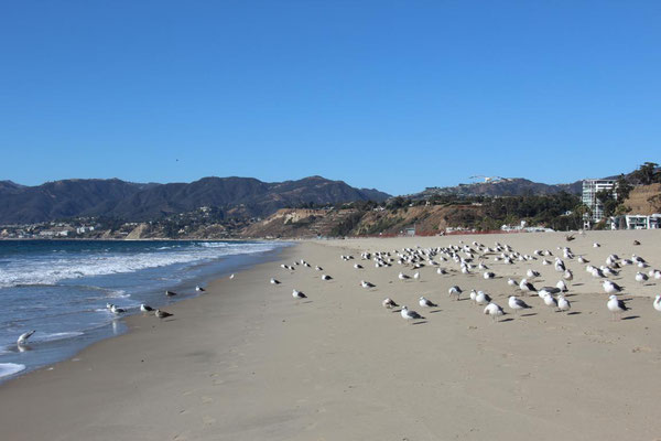 Santa Monica South Beach