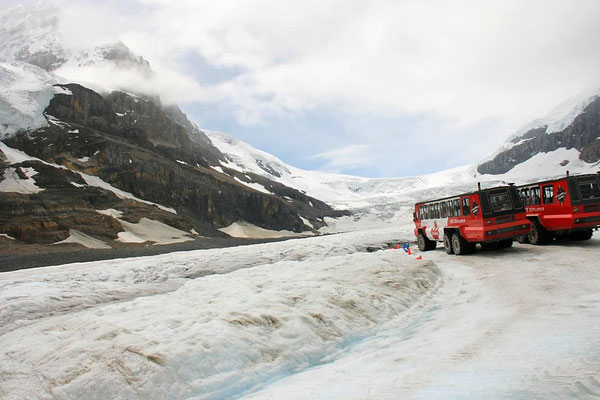 Columbia Icefield, Snocoach, Jasper National Park, Kanada