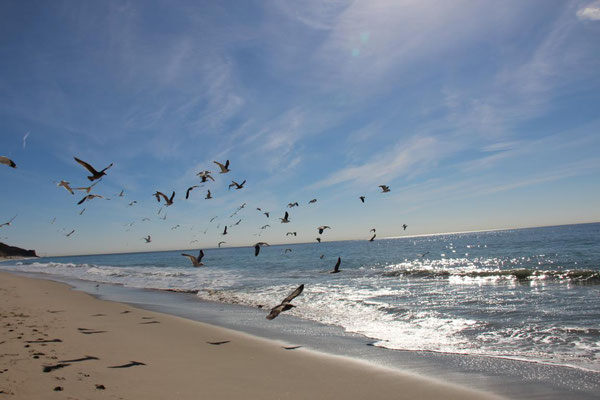 Malibu, Zuma Beach