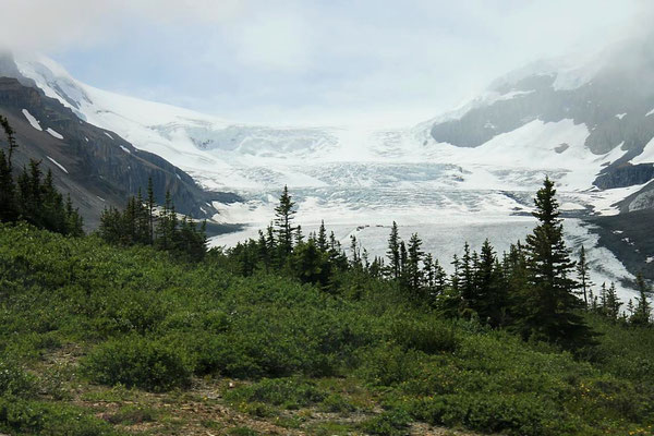 Columbia Icefield, Jasper National Park, Kanada