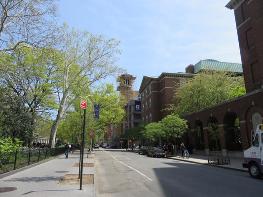 New York University, New York, USA