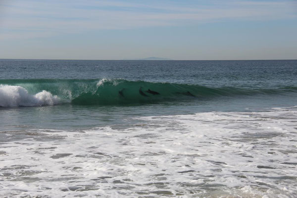 Malibu, Zuma Beach, Wale