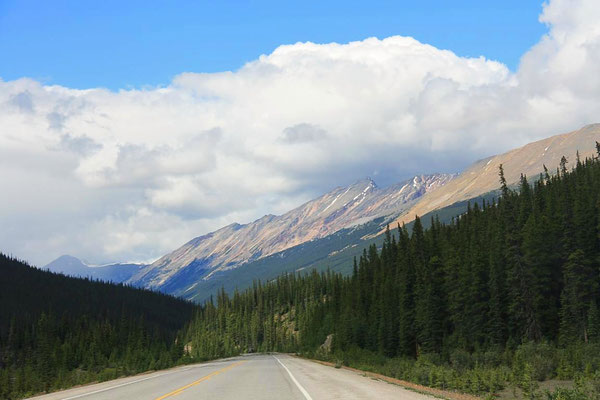 Landschaft, Jasper National Park, Kanada