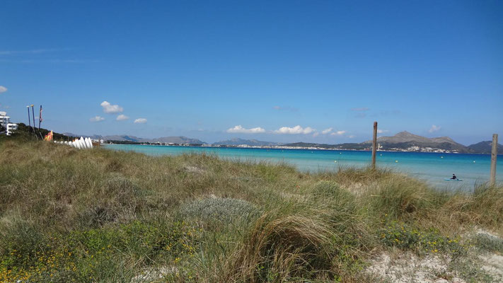 Platja de Muro, Mallorca