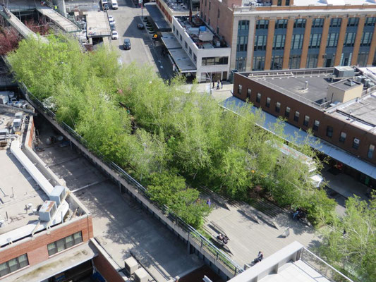 Ausblick von der Terrasse des Whitney Museums, New York, USA