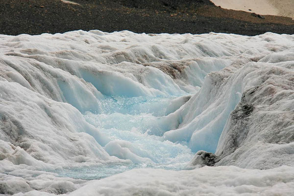 Columbia Icefield, Jasper National Park, Kanada