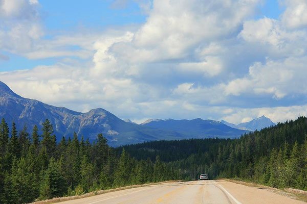 Landschaft, Jasper National Park, Kanada