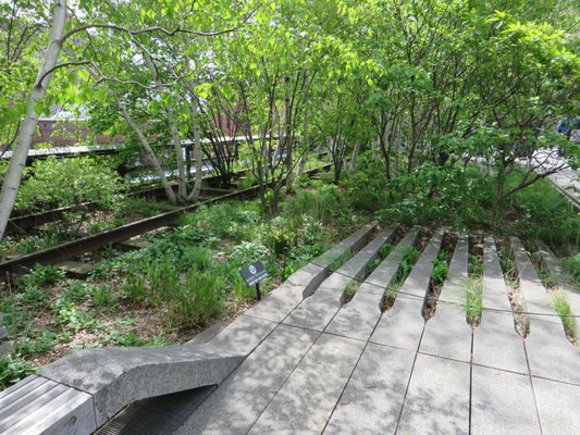 High Line Park, New York, USA