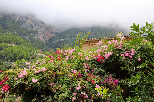 Deia, Mallorca