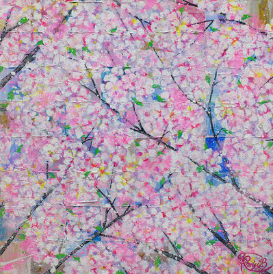 sakura, cherry blossom,桜